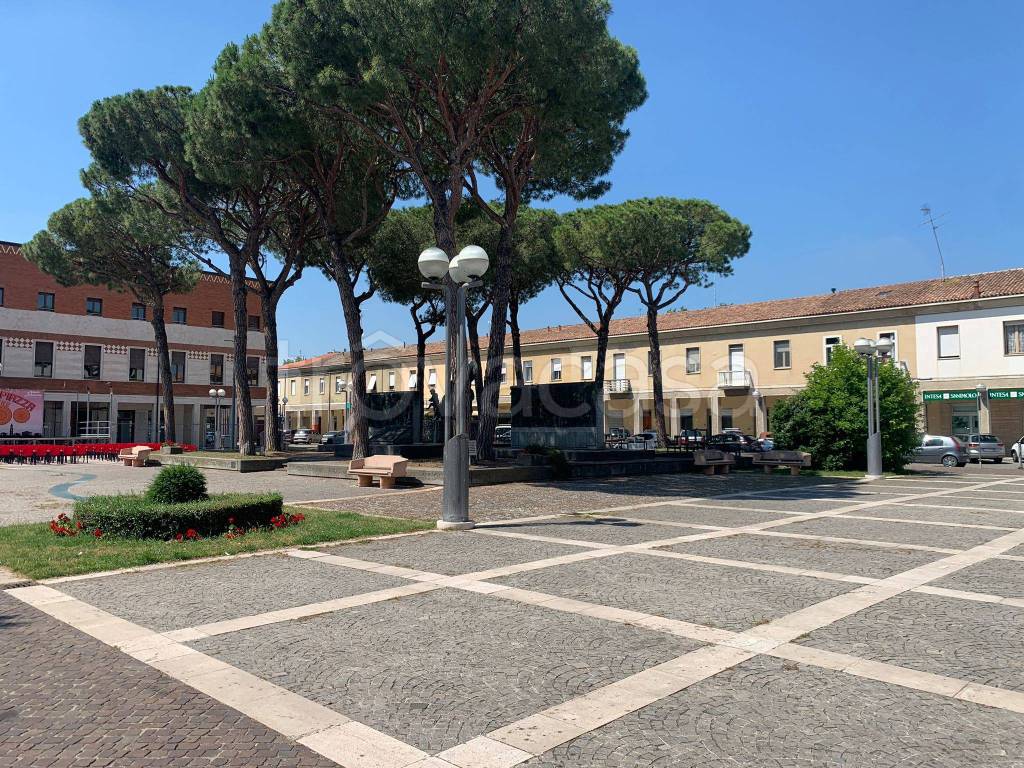 immagine annuncio 3 di 14