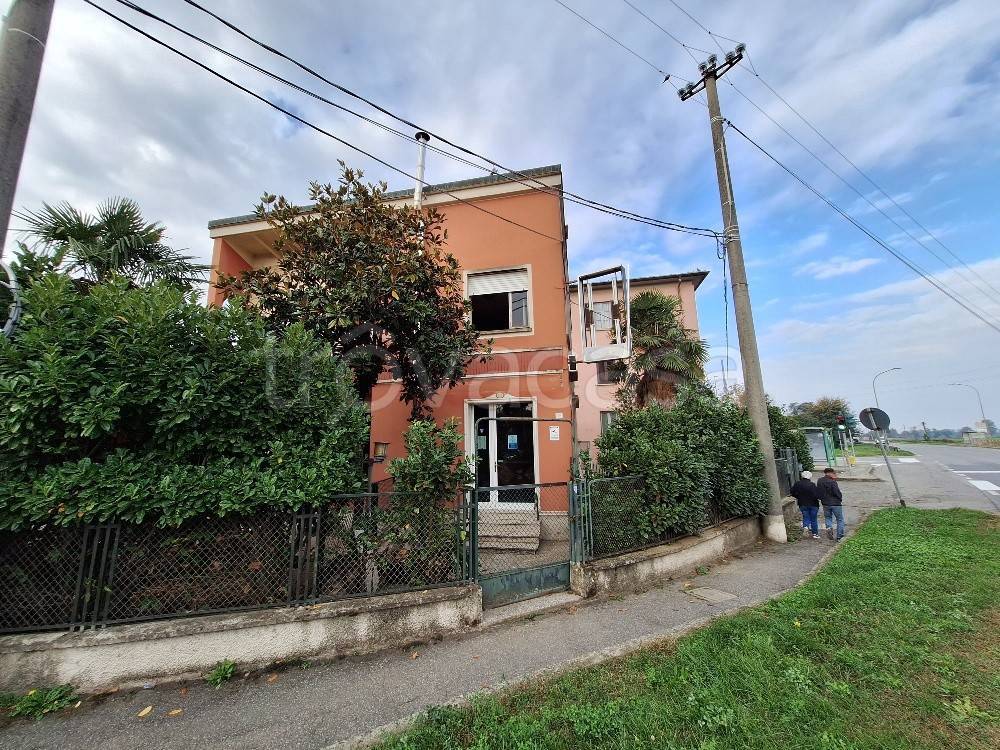 immagine annuncio 2 di 8