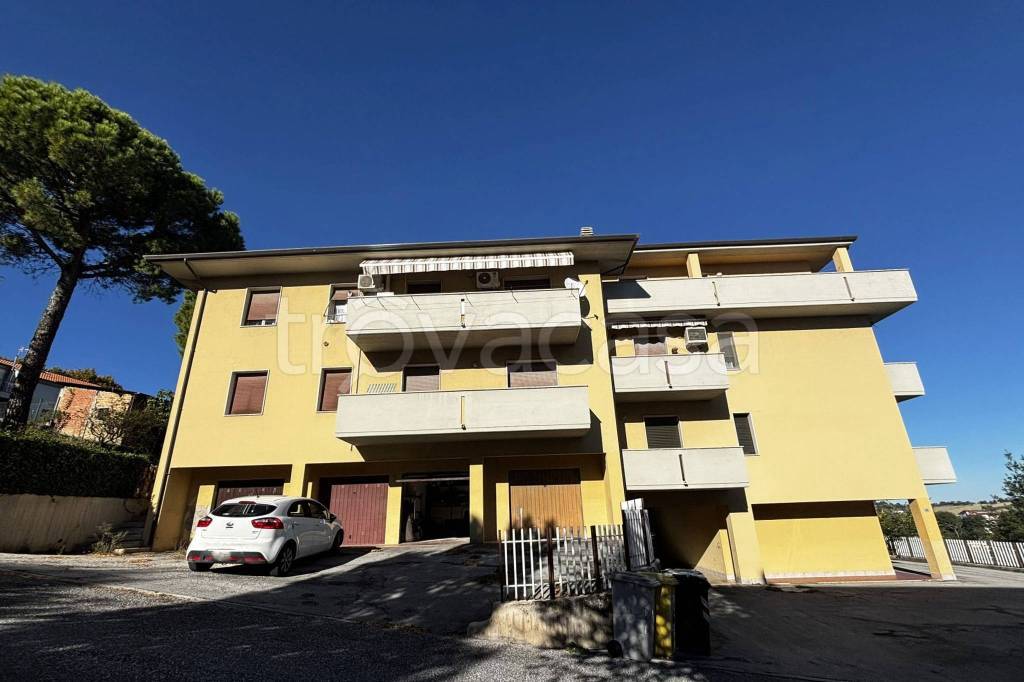 immagine annuncio 7 di 8