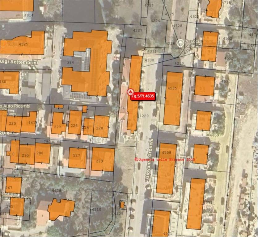 immagine annuncio 1 di 15