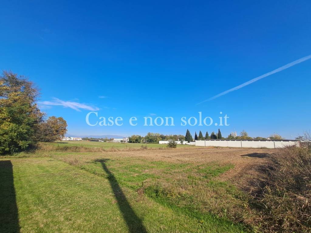 immagine annuncio 1 di 8