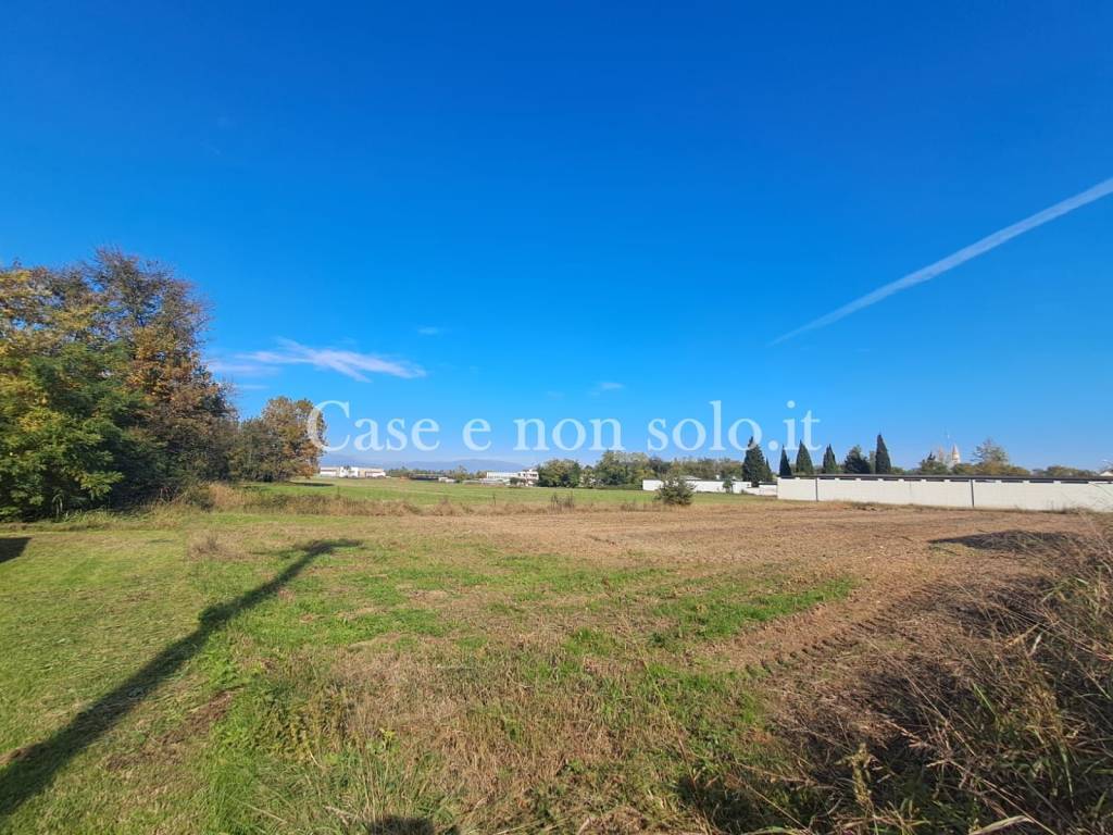 immagine annuncio 4 di 7