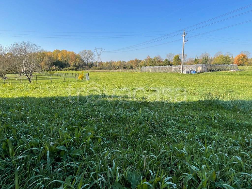 immagine annuncio 7 di 11