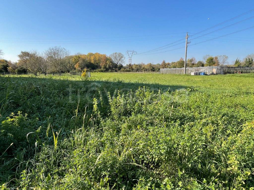 immagine annuncio 8 di 11