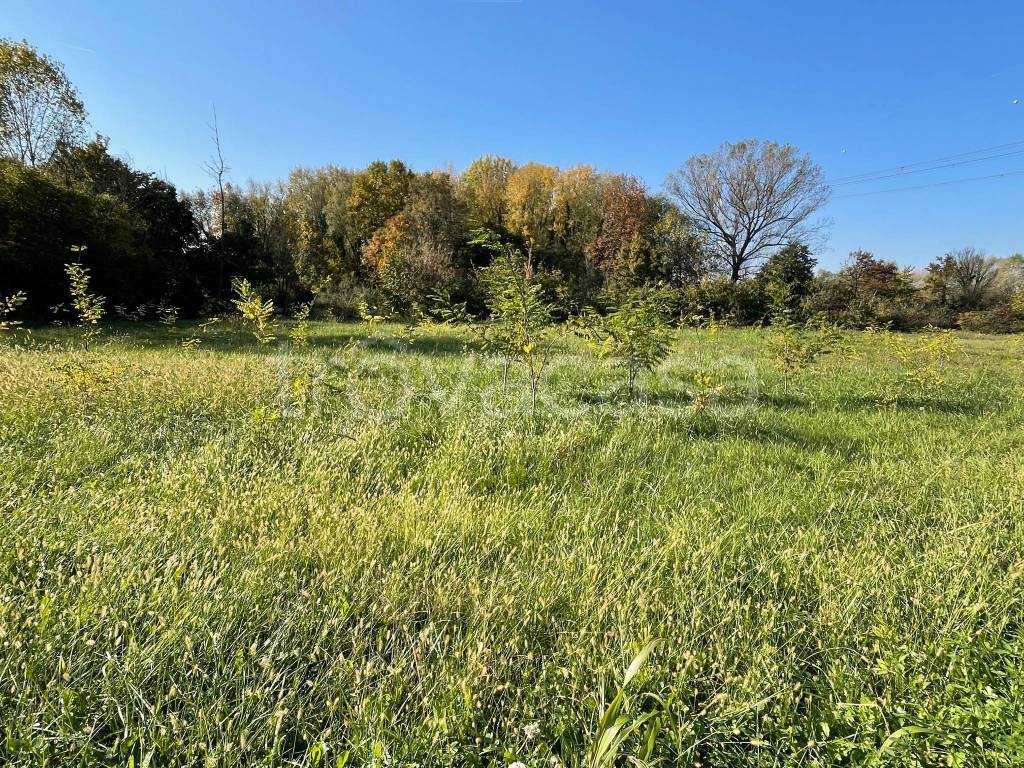 immagine annuncio 10 di 11