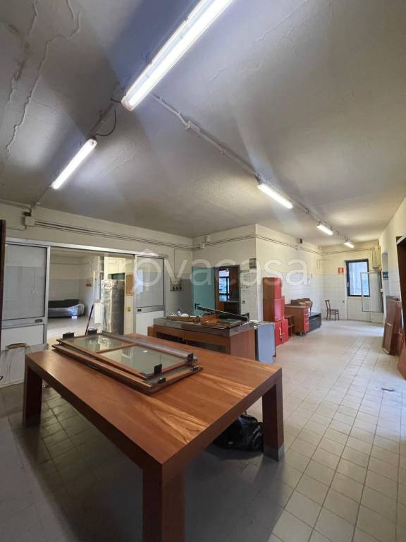 immagine annuncio 11 di 14