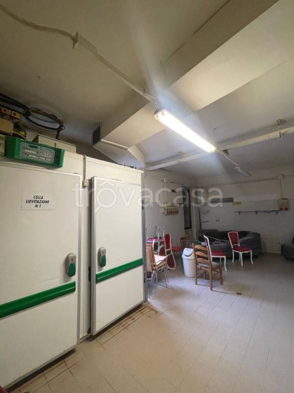 immagine annuncio 12 di 14