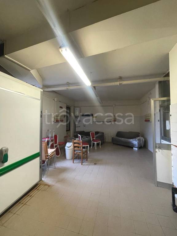 immagine annuncio 13 di 14