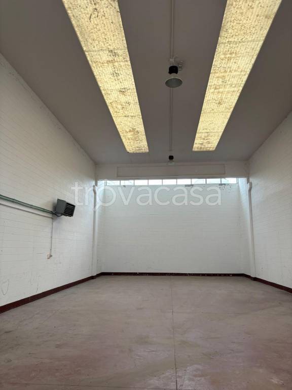 immagine annuncio 3 di 8