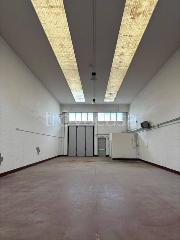 immagine annuncio 5 di 8