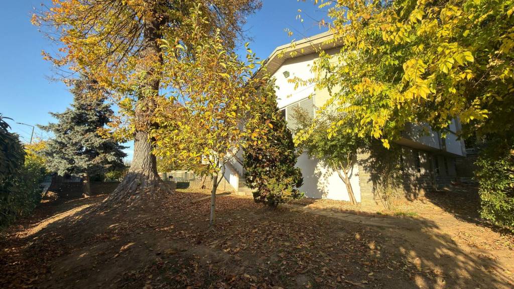 immagine annuncio 2 di 7