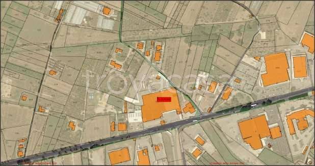 immagine annuncio 7 di 8