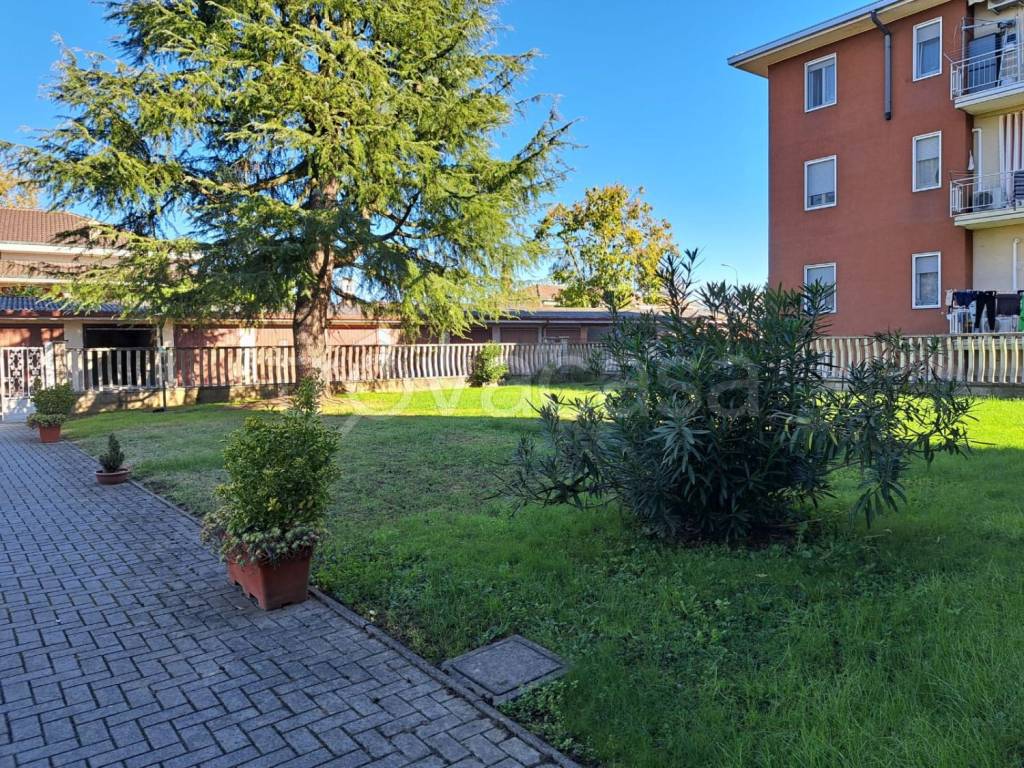 immagine annuncio 6 di 15