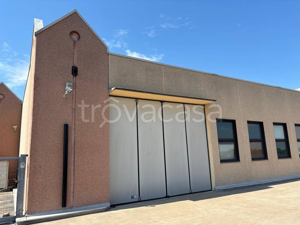 immagine annuncio 3 di 11