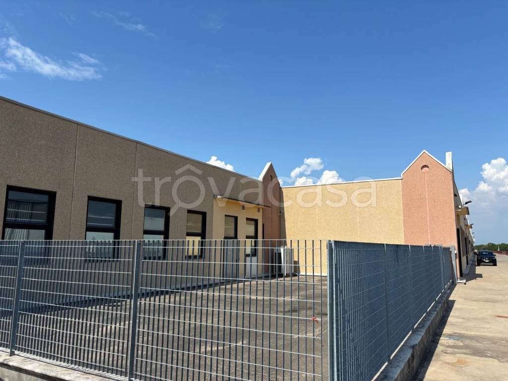 immagine annuncio 6 di 11