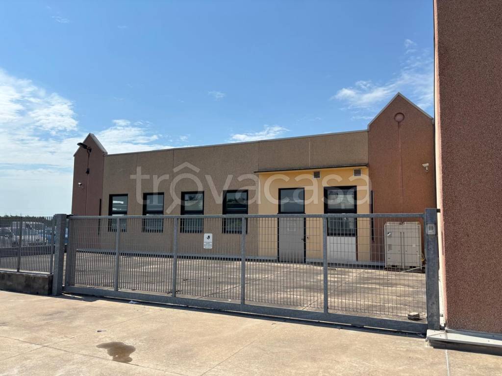 immagine annuncio 5 di 11