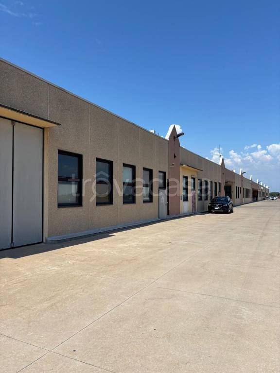 immagine annuncio 7 di 11