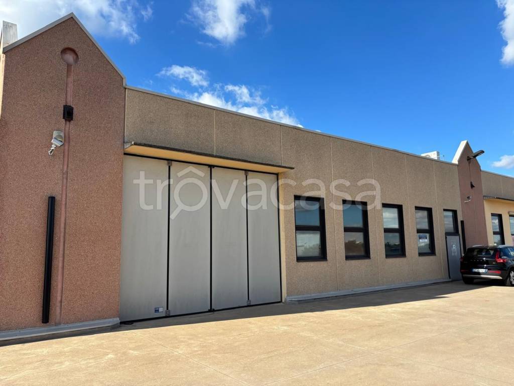 immagine annuncio 1 di 11