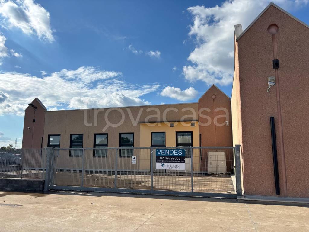 immagine annuncio 2 di 11