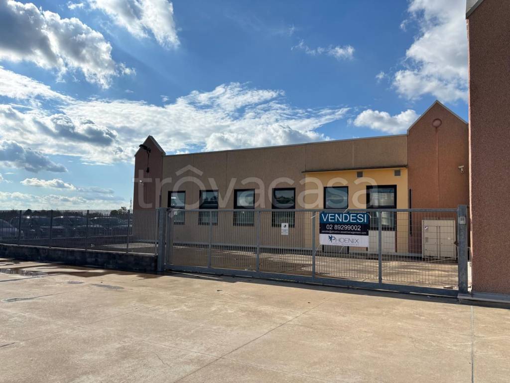 immagine annuncio 4 di 11