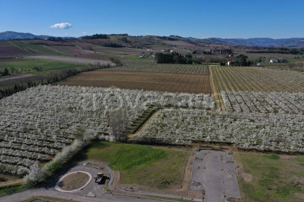 immagine annuncio 4 di 9