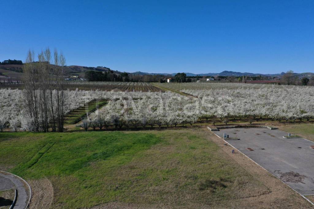 immagine annuncio 2 di 9