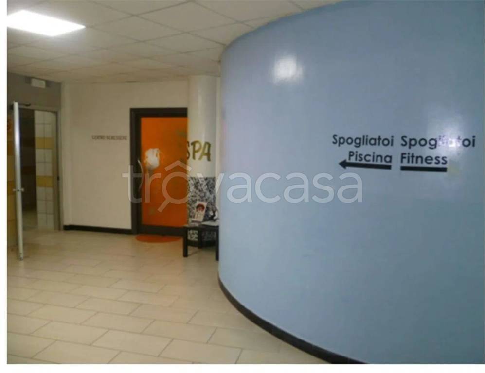 immagine annuncio 4 di 11