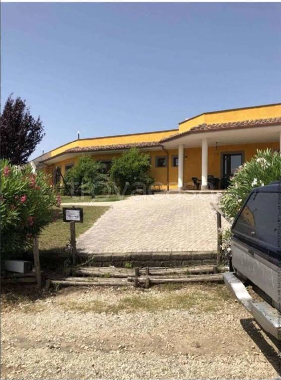 immagine annuncio 6 di 13