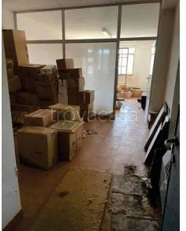 immagine annuncio 6 di 13