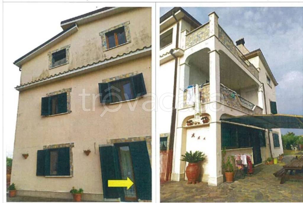 immagine annuncio 6 di 13