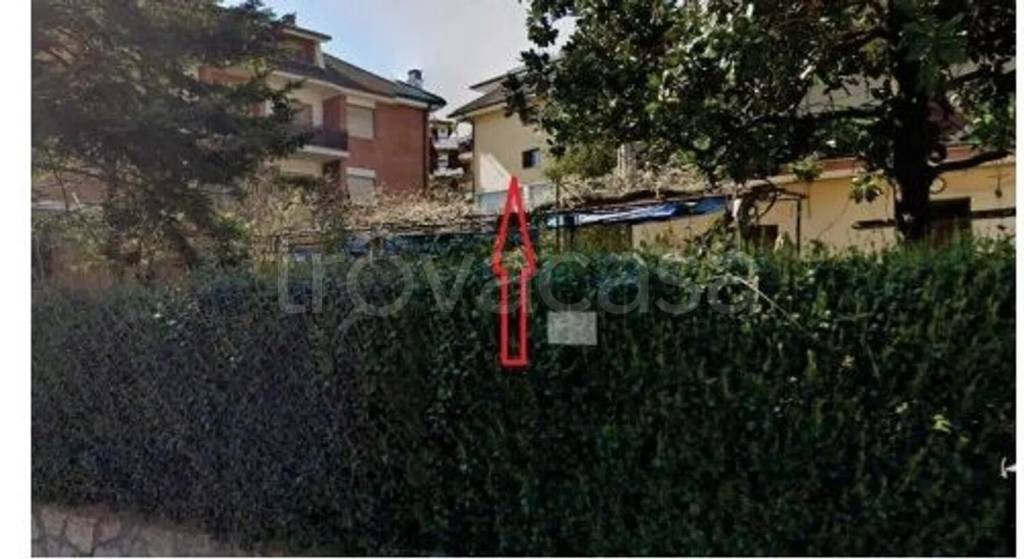 immagine annuncio 12 di 13