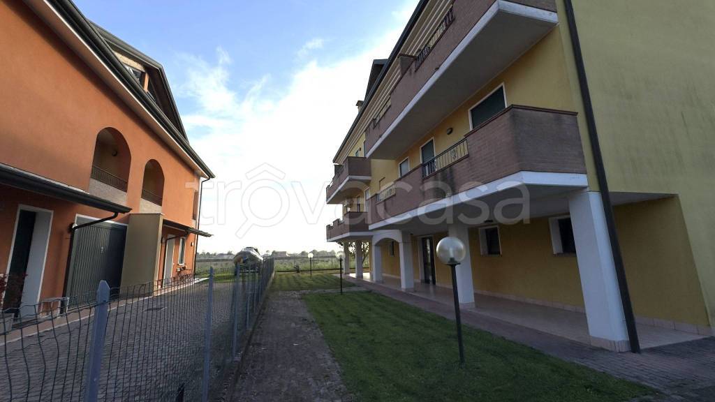 immagine annuncio 11 di 12