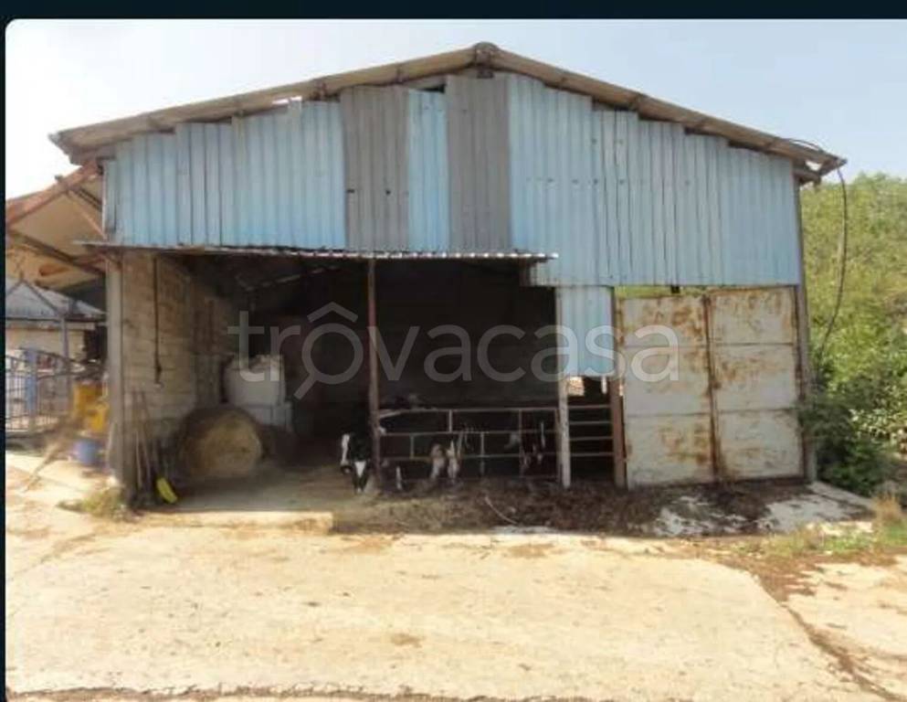 immagine annuncio 7 di 13