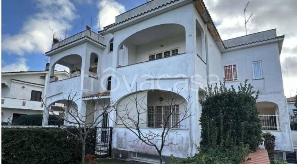 immagine annuncio 12 di 14