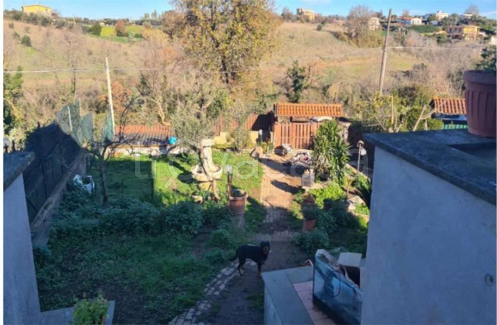 immagine annuncio 3 di 12