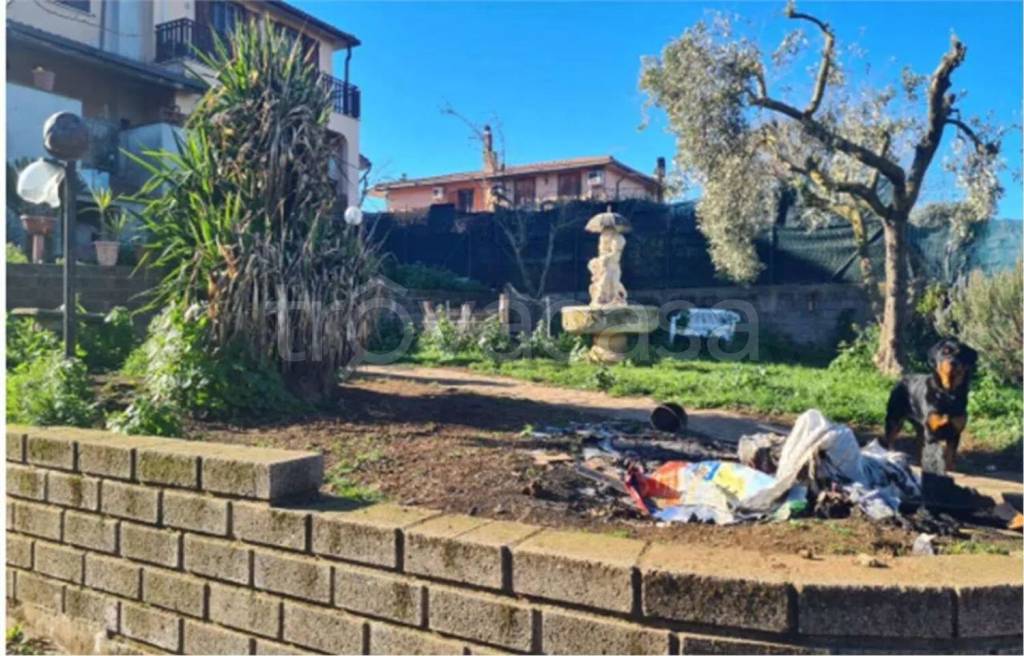 immagine annuncio 4 di 12