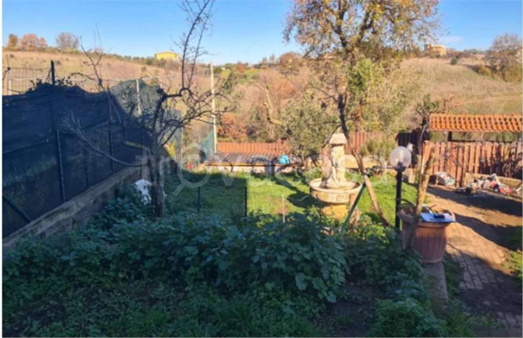 immagine annuncio 5 di 12