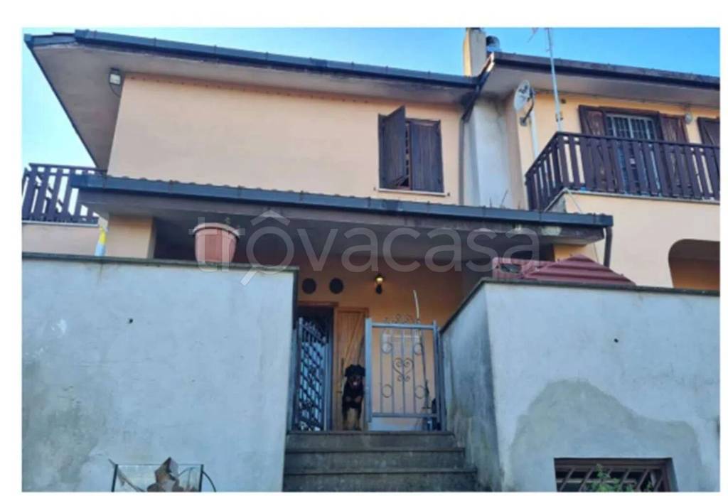 immagine annuncio 6 di 12