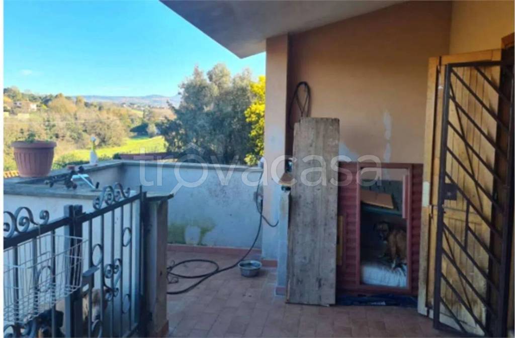 immagine annuncio 9 di 12