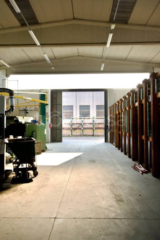 immagine annuncio 4 di 14