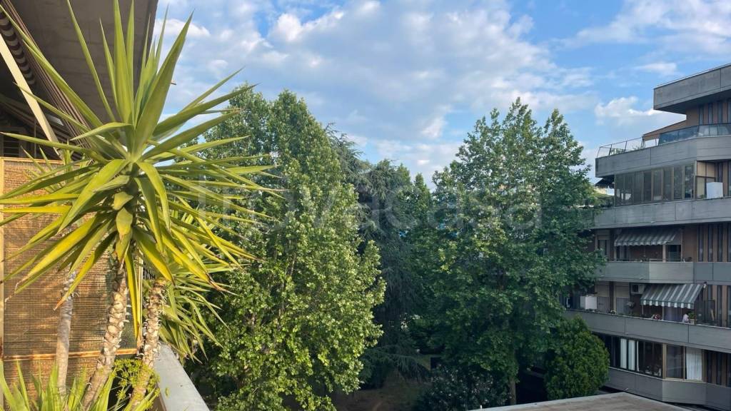 immagine annuncio 12 di 14