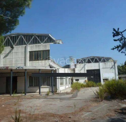 immagine annuncio 1 di 9