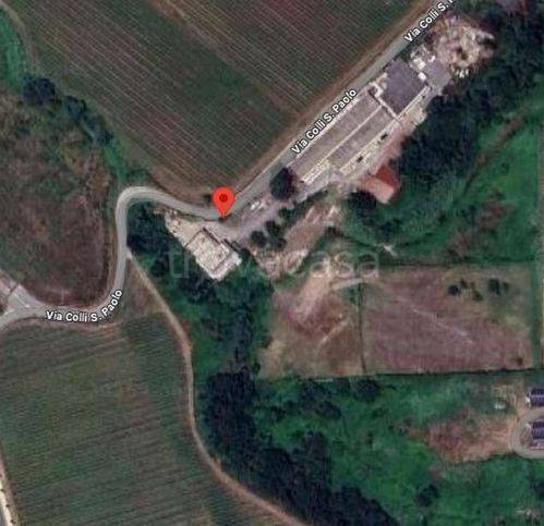 immagine annuncio 2 di 9