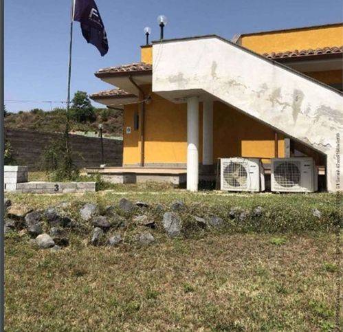 immagine annuncio 3 di 14