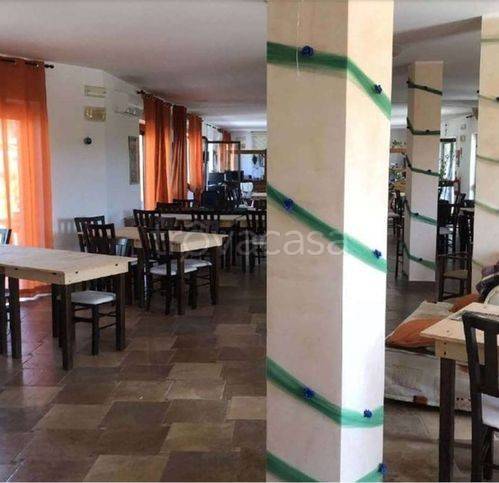 immagine annuncio 5 di 14