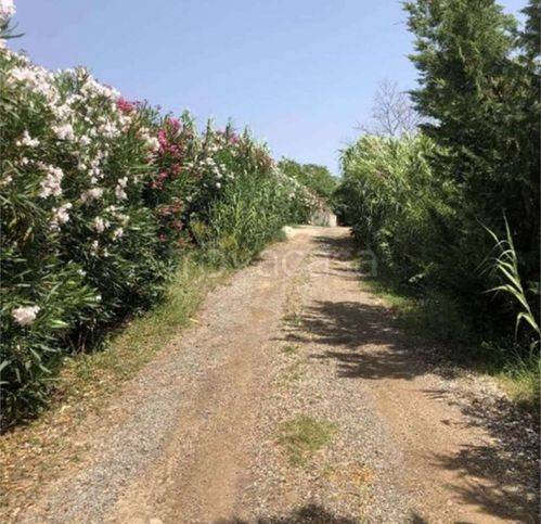 immagine annuncio 7 di 14