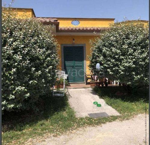 immagine annuncio 9 di 14