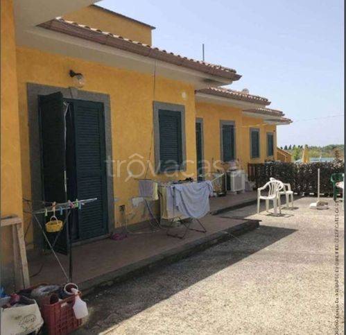 immagine annuncio 10 di 14