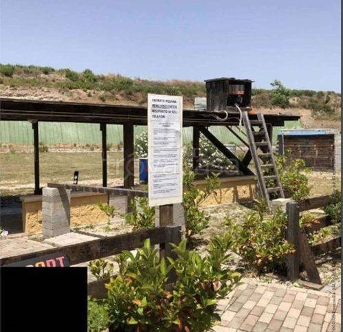 immagine annuncio 12 di 14