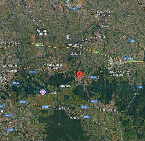 immagine annuncio 9 di 11